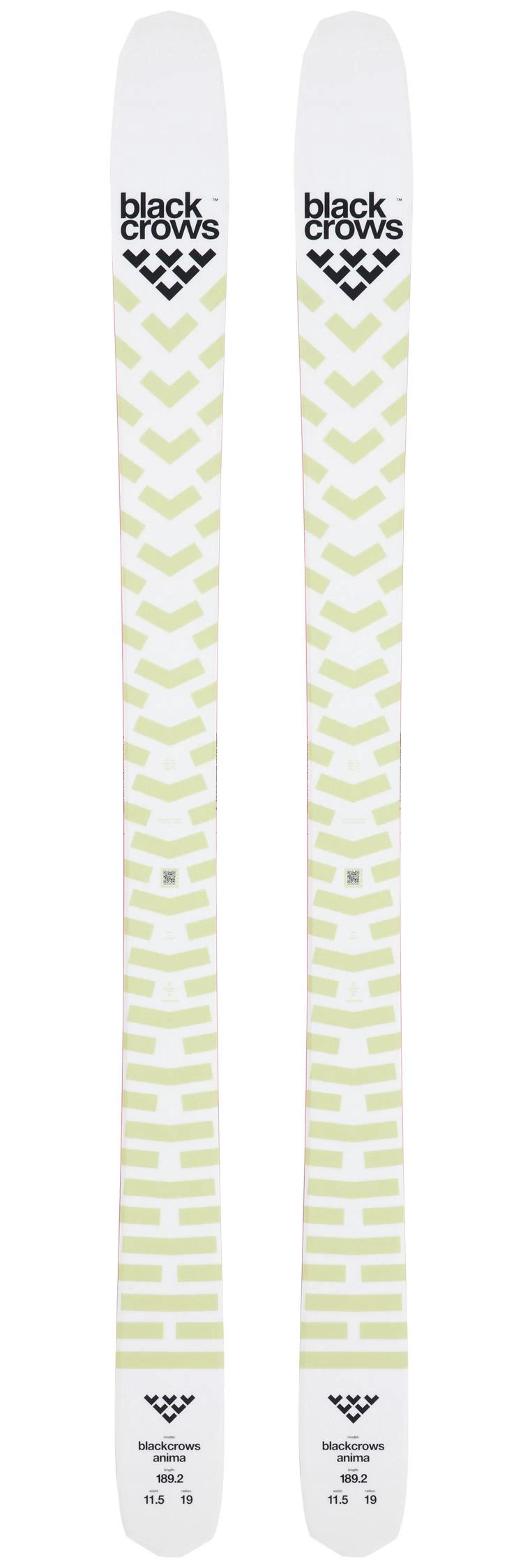 Ski Black Crows Anima